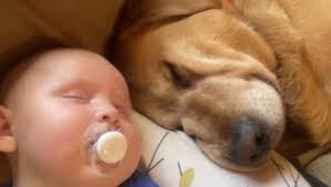 Fundraiser for Nevin Merrylees by Dave Nadeau : Help Nevin & Karly