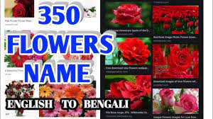 Not only are they beautiful and feminine, they're rose is a classic english girls' name, derived from the latin rosa. All Flowers Name Bengali English All Flowers Name Floewrs Name à¦« à¦² à¦° à¦¨ à¦® à¦‡ à¦° à¦œ à¦¥ à¦• à¦¬ à¦² Youtube