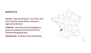 What Is Bordeaux Learn About The Grapes Wine Region