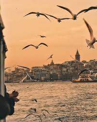 Esra Gunduz Adli Kullanicinin Istanbul Deniz Panosundaki Pin Gunbatimlari Istanbul Fotograf
