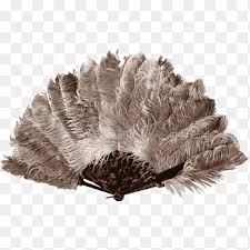 Speaking about the beautiful things, the feather is one of those things. Ostrich Feather Png Images Pngegg