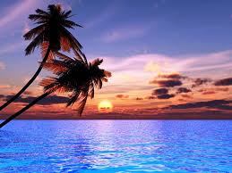 Natural background blurring warm colors and bright sun light. Beautiful Sunset Wallpapers Wallpaper Cave