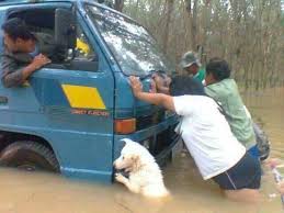 This Picture Of A Dog Pushing A Truck In The Flood Humor Hewan Binatang Anjing
