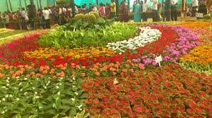 Image result for images of lalbagh park
