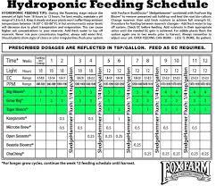 Your Plants Are Hungry Feed Them But Not Too Much