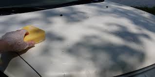 White vinegar is not a powerful chemical, and it can adequately remove the tree sap from the windshield of your car. How To Remove Tree Sap From Car