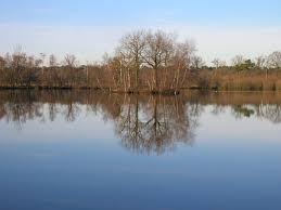 The trail is primarily used for hiking, running, camping, and nature trips. Wortel Kolonie B Het Bootjesven Mapio Net