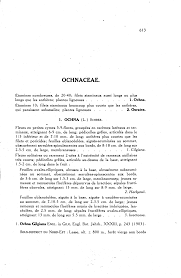 Image result for Ochna hackarsii