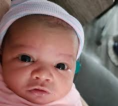 Chad Vansickle's Instagram, Twitter & Facebook