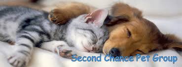 Our pets are available on saturday at the space center petco. Second Chance Pet Group Home Facebook