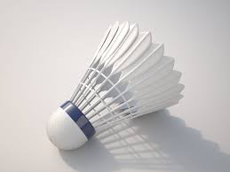 Badminton Ball 3d Model Badminton Shuttlecocks Ball