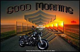 Pin By Alicia Smith On Biker Memes Lady Riders Bike Pic Harley Davidson