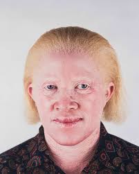 The photographic offering from the Modern and Contemporary Art: Day Sale  online auction includes stunningly captured images by South African artists  Daniel Naudé, Paul Alberts, and Pieter Hugo. Daniel Naudé's 'Animal Farm'