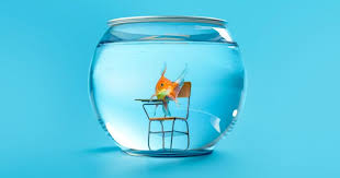 Jeff Riggins en LinkedIn: The Perilous Predicament of the Very Small College