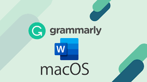 Getting started is simple — download grammarly's extension today. Grammarly For Word Mac Beta Free Download Tecxoo