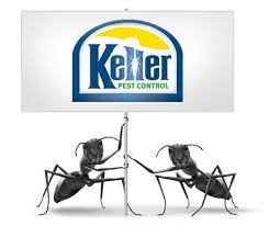 Edge pest control and mosquito services is proud to service kansas city and the surrounding areas. Keller Pest Control Residential Commercial Pest Control