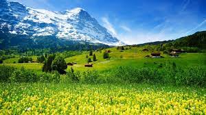 Mountains Hd Wallpapers 4k Image Backgrounds Page 16 Switzerland Wallpaper Iphone Wallpaper Mountains Landscape