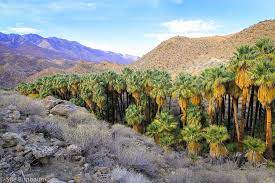 20.3 miles round trip on trail summit elevation: Cactus To Clouds Explorumentary Explorumentary