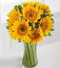 Maybe you would like to learn more about one of these? Sunflower Bouquet For Scott Sunflower Arrangements Sunflower Bouquets Avas Flowers