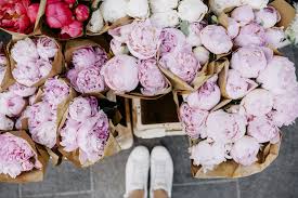 We did not find results for: Planting Peonies In Your Yard Could Attract Ants Why You Shouldn T Plant Peonies