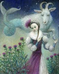 Image result for Stolzia heiligenthalii