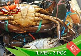 Satu bengkel pengenalan mengenai penternakan ketam nipah telah selamat diadakan pada isnin lepas. Ketam Nipah Hidup Giant Mud Crab Live 2 Pcs Lazada