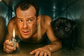 Kathy Satterwhite's Instagram, Twitter & Facebook