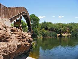 Maybe you would like to learn more about one of these? Patagonia Lake State Park Sky Islands Arizona