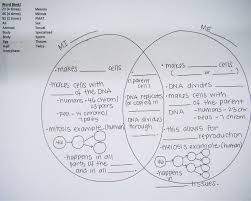 Mitosis Venn Diagrams And Kids Worksheets On Pinterest Biology Worksheet Teaching Biology Mitosis