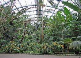 The mission of norfolk botanical garden: Botanic Gardens In Europe Botanical Art Artists