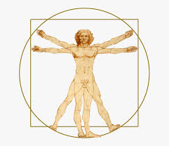 Vitruvian Man Png Transparent Png Download Transparent Png Image Pngitem Large png 2400px small png 300px. vitruvian man png transparent png