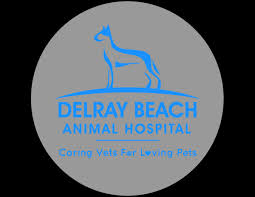 She joined the beechmont pet hospital staff in 2004 after practicing in myrtle beach, south carolina. Delray Beach Animal Hospital L Veterinarian Delray Beach Fl Boca Raton Fl Boynton Beach Fl Lake Worth Fl