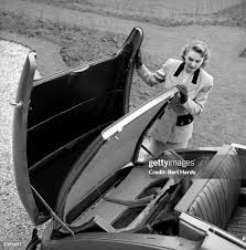 143 Pig Brother Stock Photos, High-Res Pictures, and Images