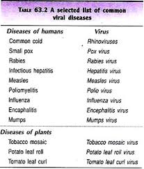 Microorganisms Characteristics Importance And Control