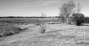 Black And White Landscape Photos For Sale Black And White Landscapes For Sale With Images Black And White Landscape Landscape Landscape Art