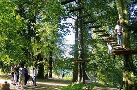 Đọc tất cả 122 đánh giá. Parcours Acrobranche Art En Arbres Sur Le Site Picture Of La Belle Verte Le Vernet Tripadvisor