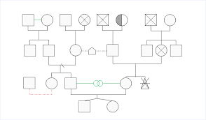 Free Download Editable Genogram Examples