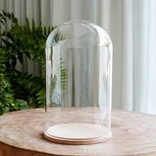 Protect your seeds and seedlings from hungry critters/insects and sudden drop in temperature. Lights4fun Large Glass Bell Jar Dome With Natural Beech Wood Base Glass Cloche 30cm Buy Online In Bahamas At Bahamas Desertcart Com Productid 59572650