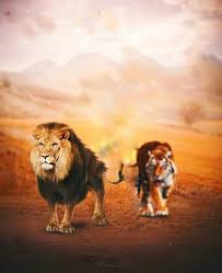 We did not find results for: Snapseed Background Light Hd