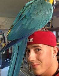 Obituary information for Garrett Alexander Fleming