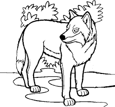Dibujos De Lobos Para Colorear