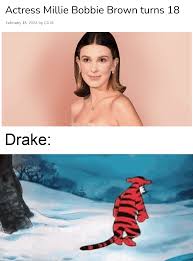 Hes into stranger things : rmemes