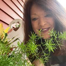 Spider Plants Like Coffee Grounds?