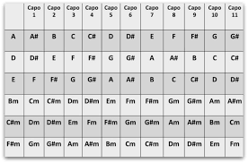 capo chart learn every chord instantly national guitar