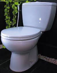 Toto sangat terkenal dengan kualitas produk sanitary harga toto sanitary, kualitas terbaik standar sni. Daftar Harga Closet Duduk Semua Merk Terbaru 2020 Rumahpedia