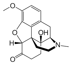 oxycodone wikipedia