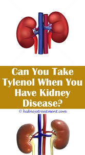 Kidney Stones Facts Polycystic Kidney Disease Kidney Disease Stages Kidney Disease Symptoms