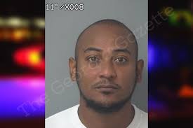 Nelson Matute Webb — Gwinnett County Jail Bookings