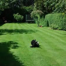 Maybe you would like to learn more about one of these? Premier Lawn Care Home Facebook
