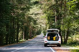 Symptoms can range from muscle tenderness to severe debilitating pain. Roadtrip Na Estrada Nacional 2 Um Roteiro Para Descobrir Portugal De Norte A Sul